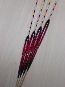 電気浮子（ヘラウキ）